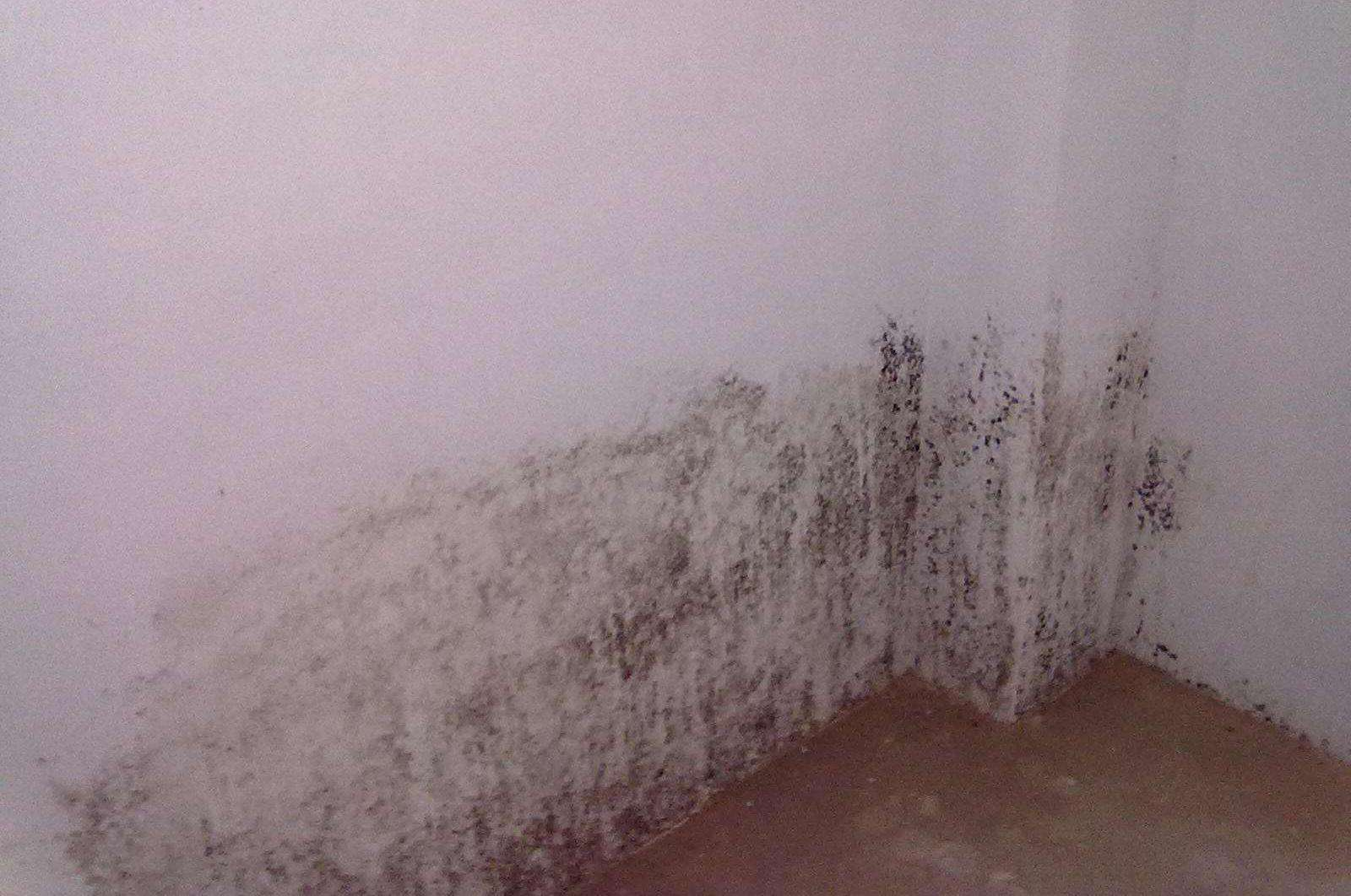 墻體發(fā)霉